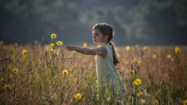 Кадър на деня за 24 юни 