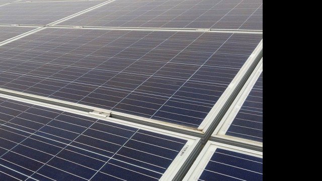 Снимка: Pixabay