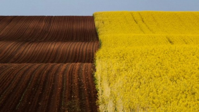 <p>
	<em>Снимка: Pixabay</em></p>
