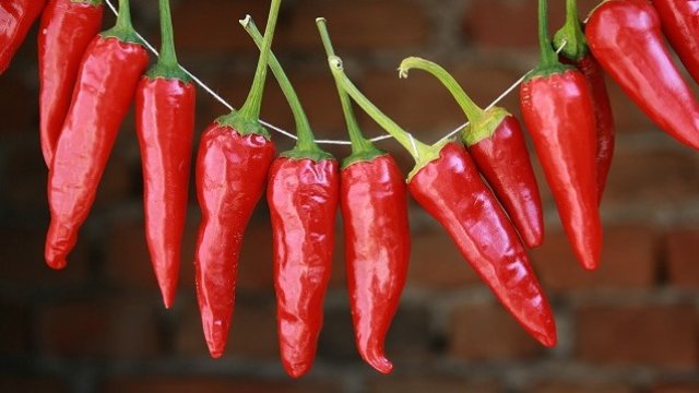 <p>
	<em>Снимка: БТА</em></p>
