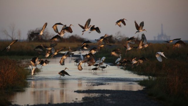 <p>
	<em>Снимка:&nbsp;Luke Sharrett/Bloomberg</em></p>
