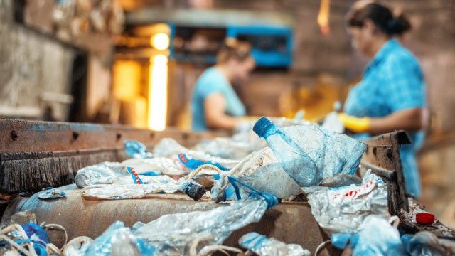 Снимка: freepik.com