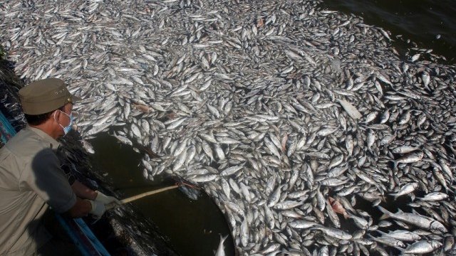 <p>
	Снимка: <em>архив Ройтерс</em></p>
