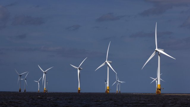 Снимка: Bloomberg L.P.