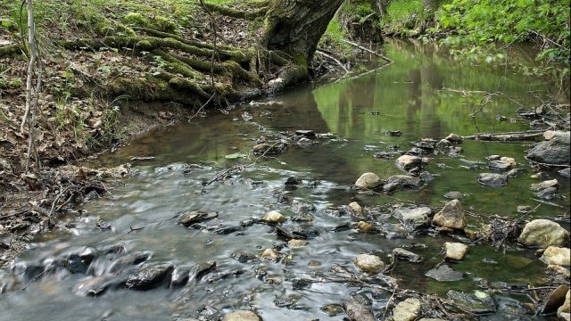 <p>
	<em>Снимка: Pixabay</em></p>
