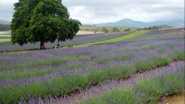 <p>
	<em>Снимка: freeimages.com</em></p>
