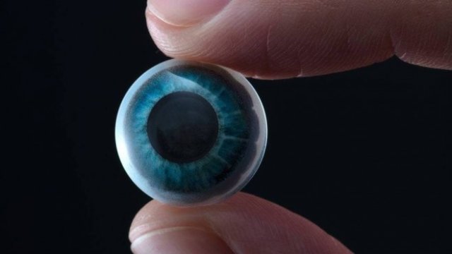 <p>
	<em>Снимка: www.mojo.vision</em></p>
