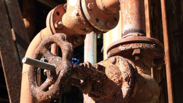 <p>
	<em>Снимка: Pixabay</em></p>
