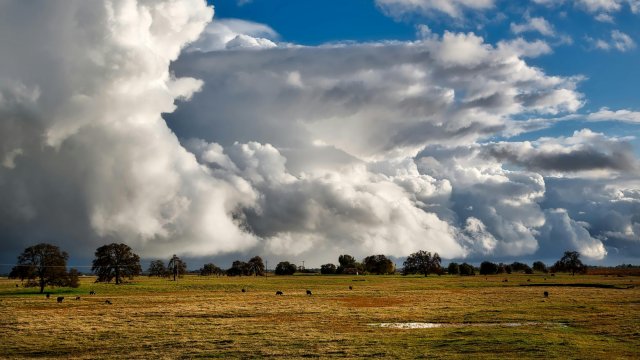 Снимка: Pexels