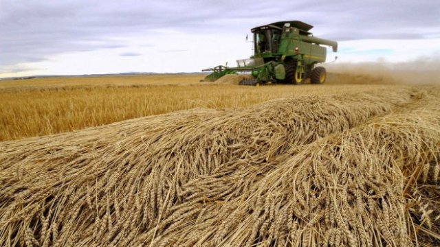 <p>
	<em>Снимка: Архив Ройтерс</em></p>
