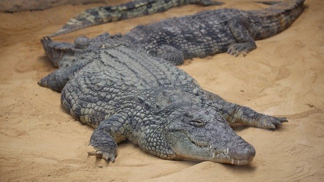 <p>
	<em>Снимка: www.pixabay.com</em></p>
