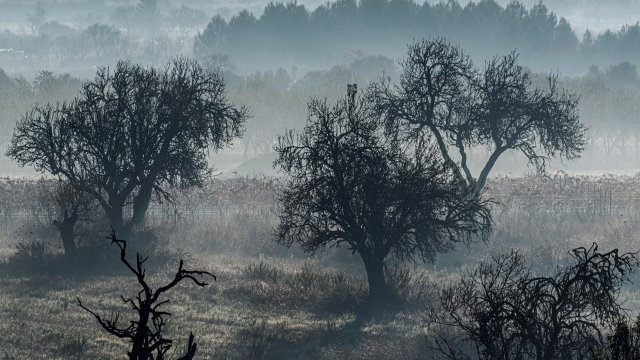 Икономисти подобриха прогнозите си за икономиката на еврозоната тази зима, но остават мрачно настроени за следващата. Снимка: EPA/БГНЕС