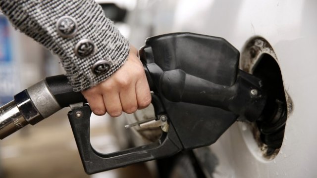 <p>
	Снимка: <em>архив Ройтерс</em></p>
