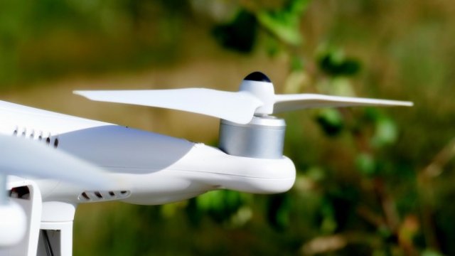 <p>
	<em>Снимка: Pixabay</em></p>
