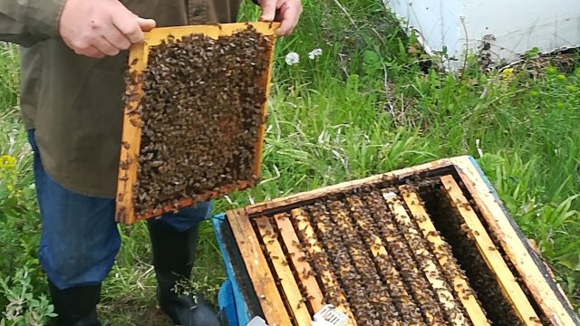 Снимка: Investor.bg