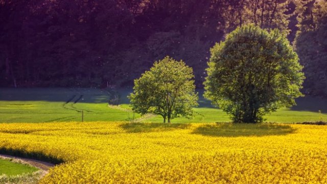 <p>
	<em>Снимка: Pixabay</em></p>
