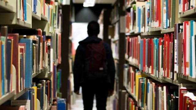 <p>
	<em>Снимка: Pixabay</em></p>
