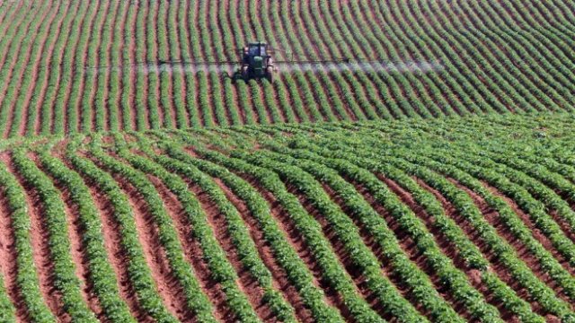 <p>
	<em>Снимка: Архив Ройтерс</em></p>
