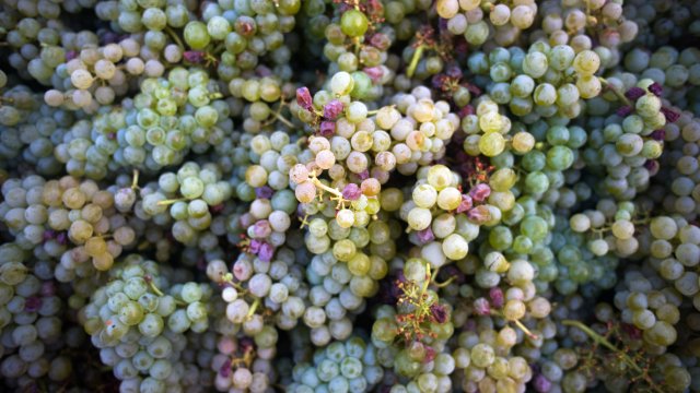 Снимка: Bloomberg LP