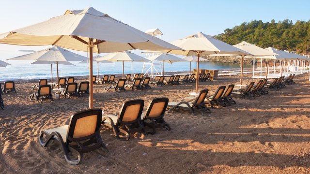 Снимка: freepik