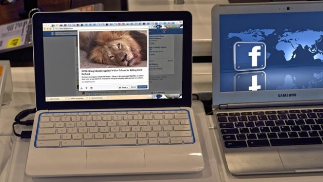 <p>
	<em>Снимка: pixabay.com</em></p>
