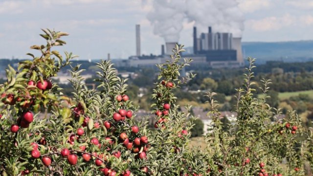 <p>
	Снимка: Pixabay</p>
