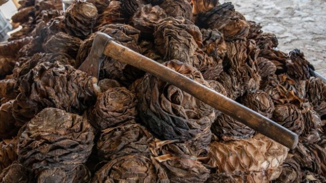 <p>
	<em>Снимка: Bloomberg</em></p>
