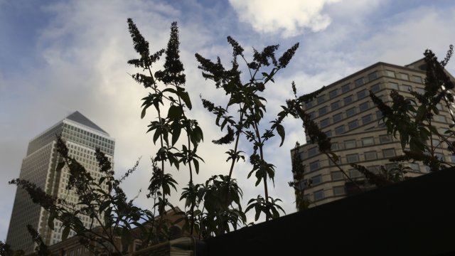 Снимка: Bloomberg