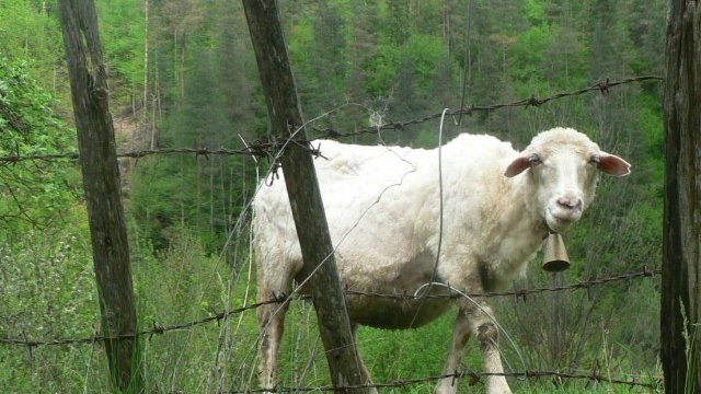 <p>
	<em>Снимка: Investor.bg</em></p>
