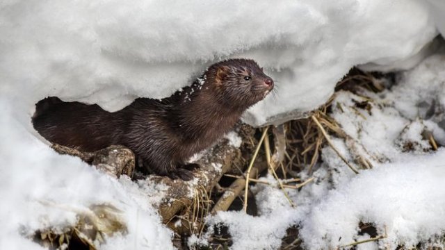 <p>
	<em>Снимка: Pixabay</em></p>
