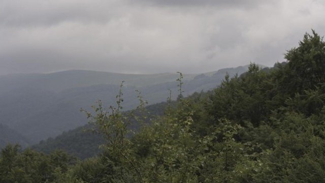 <p>
	<em style="color: rgb(102, 102, 102); font-family: Arial, non-serif; font-size: 13px; line-height: 20px;">Снимка: Investor.bg</em></p>
