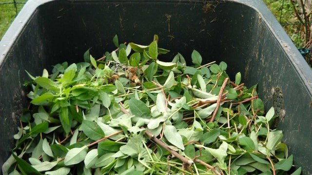 <p>
	<em>Снимка: Pixabay</em></p>
