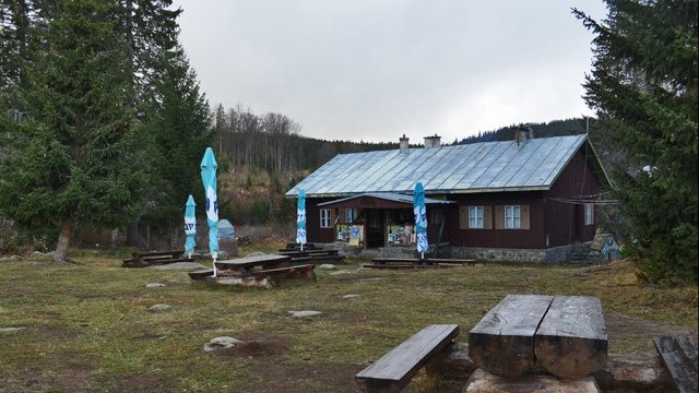 <p>
	<em>Снимка: ДПП &quot;Витоша&quot;</em></p>
