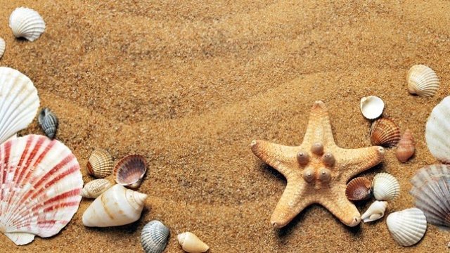 <p>
	<em>Снимка: Pixabay</em></p>
