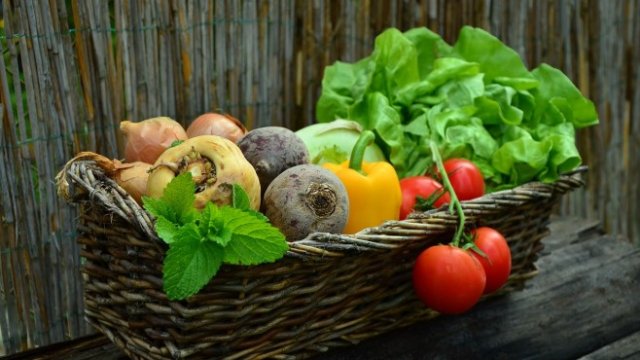 <p>
	<em>Снимка: Pixabay</em></p>
