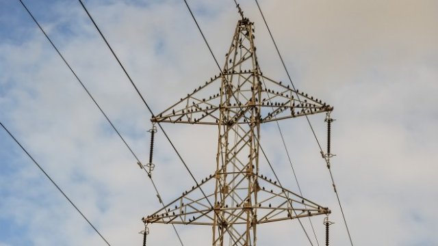 <p>
	<em>Снимка: Pixabay</em></p>
