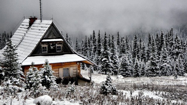 Снимка: pixabay.com