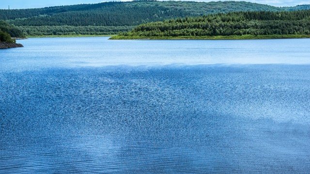 <p>
	<em>Снимка: Pixabay</em></p>
