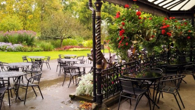 <p>
	<em>Снимка: Pixabay</em></p>
