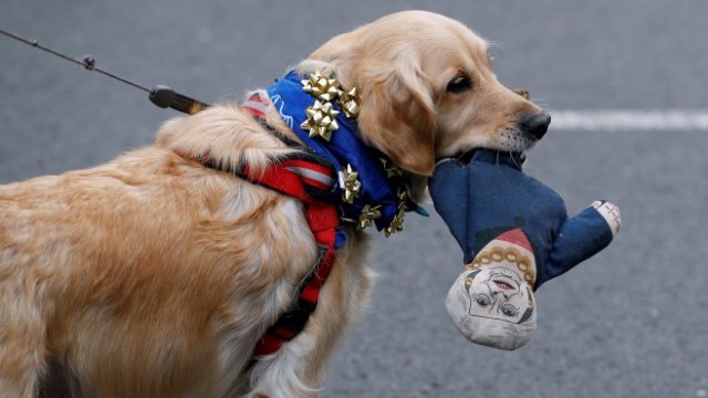 <p>
	<em>Снимка: Ройтерс</em></p>
