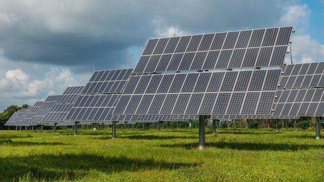 Снимка: Pixabay