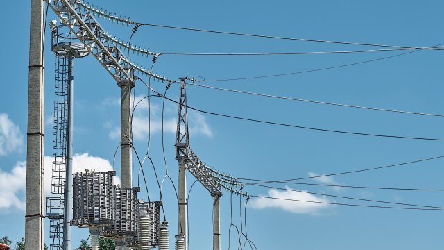 Снимка: freepik