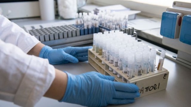 <p>
	<em>Снимка: Getty</em></p>
