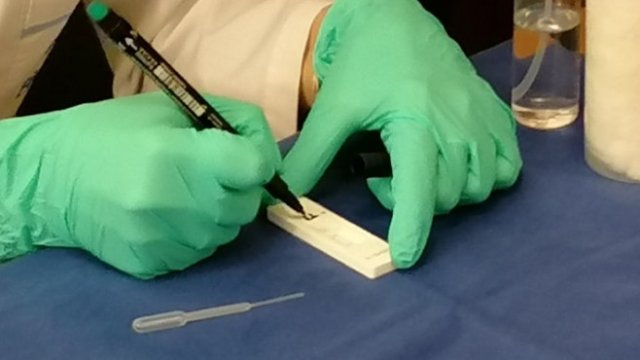 <p>
	<em>Снимка: БГНЕС/ВЛАДИМИР ХРИСТОВСКИ</em></p>
