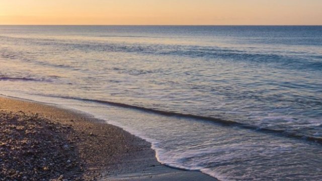 <p>
	<em>Снимка: Pixabay</em></p>
