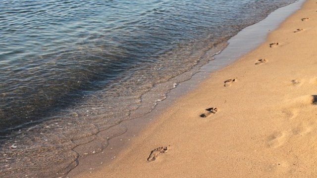 <p>
	<em>Снимка: Pixabay</em></p>
