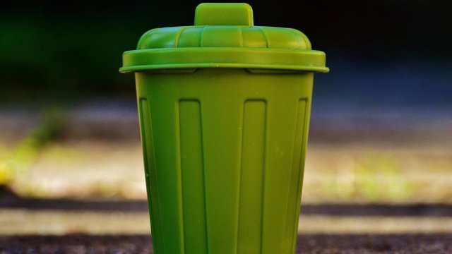 <p>
	<em>Снимка: Pixabay</em></p>
