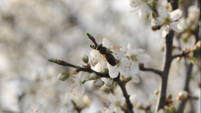 <p>
	<em>Снимка: БТА</em></p>
