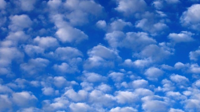 <p>
	<em>Снимка: Ройтерс</em></p>
