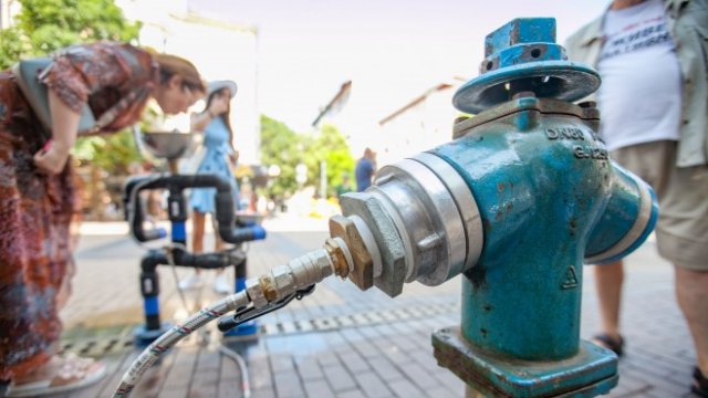 <p>
	<em>Снимка: Димитър Кьосемарлиев, Investor Media Group</em></p>
